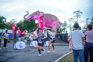 BIB: 
                            <button type="button" onclick="openModal(26551655)" class="btn btn-primary btn-sm float-right btn-popup" data-toggle="modal" data-target=".modal-high-quality">
                        <i class="fas fa-shopping-cart"></i> Add to Cart
                    </button>
                                            <button type="button" onclick="isThisMe(26551655, true)" class="btn btn-success btn-sm float-right btn-popup btn-isme hidden" data-toggle="tooltip" data-placement="bottom" title="นี่คือรูปของคุณใช่ไหม คลิกที่นี่เพื่อเอาเข้าอัลบั้ม">
                        <i class="fas fa-plus"></i> Add to album
                    </button>
                    <button type="button" onclick="isThisMe(26551655, false)" class="btn btn-warning btn-sm float-right btn-popup btn-isnotme hidden">
                        <i class="fas fa-ban"></i> Remove from album
                    </button>